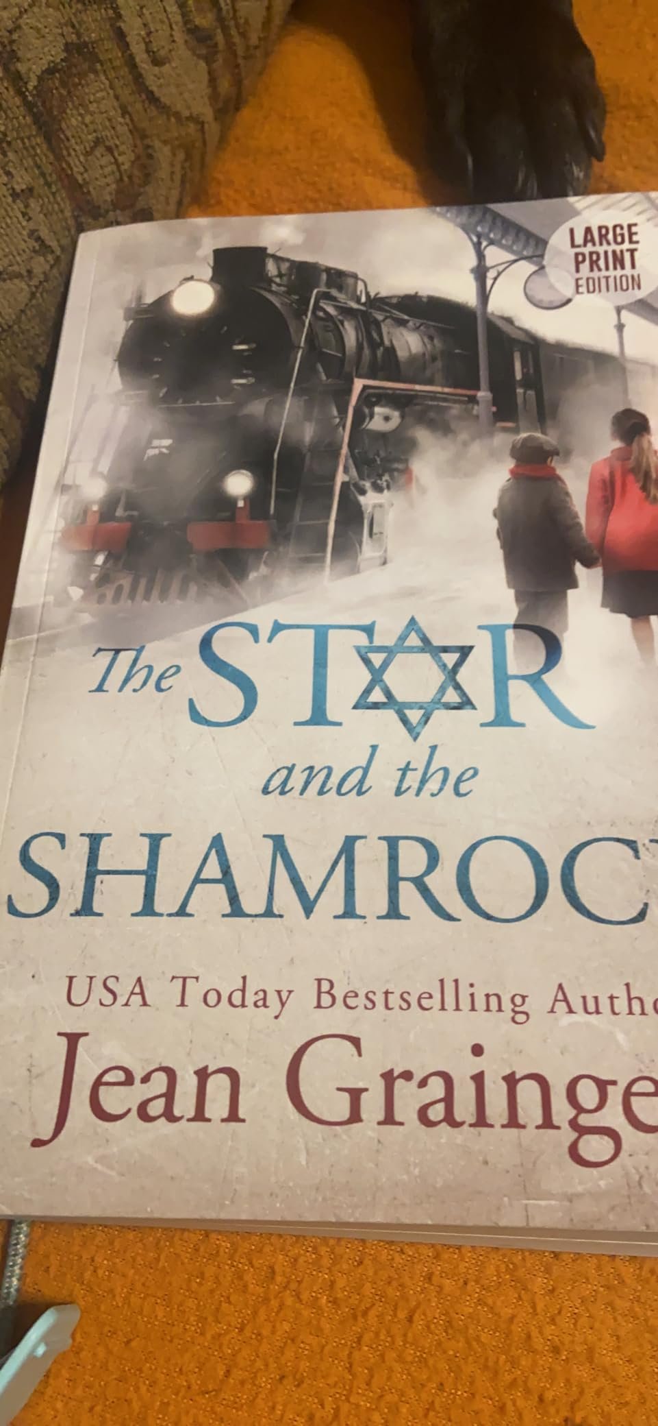books with large print for the elderly