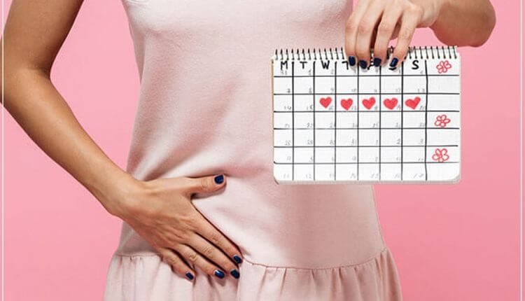 Menstrual cycle